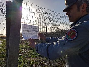 ortaggi-cinesi-e-rifiuti-pericolosi-sequestrata-area-alle-porte-di-firenze