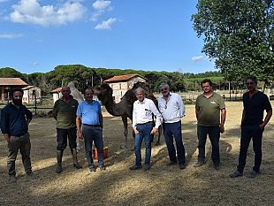 san-rossore-unazienda-allavanguardia