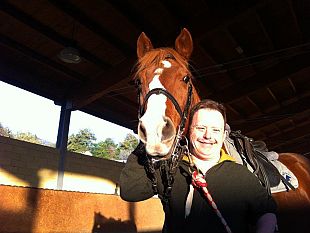 b204131604-il-cavallo-dei-disabili-ha-trovato-casa-a-serpiolle