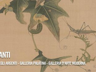 b204032228-giappone-terra-di-incanti