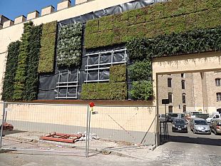 edilizia-sostenibile-e-biodiversita-venerdi-a-le-murate