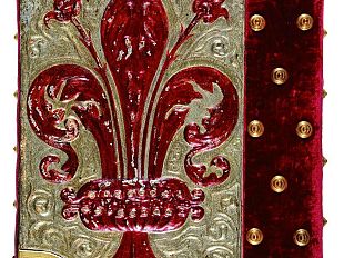 b305151338-dal-giglio-al-david-l-identita-politica-fiorentina