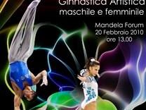 b001171955-ginnastica-al-mandela-forum-di-firenze