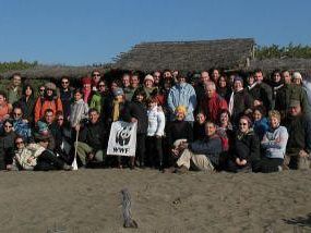 a802111426-bolgheri-il-fratino-puo-tornare-a-nidificare-sulla-spiaggia-dell-oasi-wwf-padule