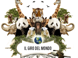 b109142333-diario-di-viaggio-e-boom-di-figurine