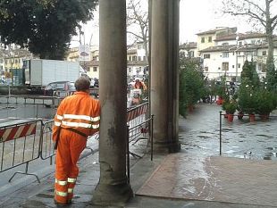 natale-difficile-a-firenze-abeti-cantierati