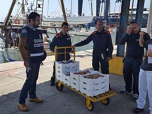 vigilanza-in-mare-sequestri-e-sanzioni-in-toscana