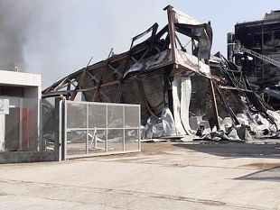 incendio-alla-silo-di-san-bartolo-a-cintoia-le-cause-della-moria-di-pesci