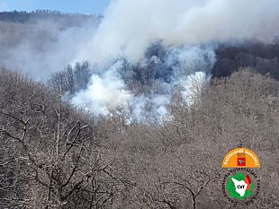 incendio-a-castagno-dandrea-non-lontano-dal-paese