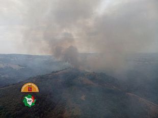 ferragosto-un-incendio-a-scansano
