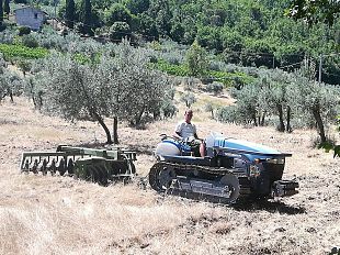 mamma-voglio-fare-il-contadino-storie-di-giovani-che-coltivano-il-futuro