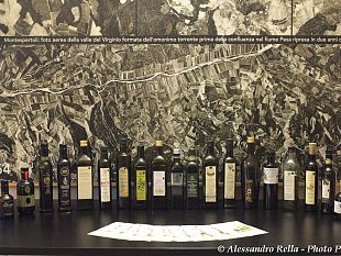 olea-project-scopriamo-lolio-extravergine-doliva-di-montespertoli