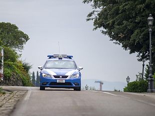 polpette-avvelenate-e-spugne-fritte-nei-parchi-di-firenze