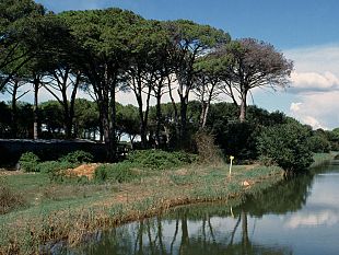 macchia-lucchese-e-lecciona-continua-la-riqualificazione