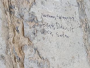 imbratta-il-ponte-vecchio-firmando-le-pietre-rischia-la-reclusione