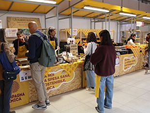 dal-mar-tirreno-alle-pagine-dei-classici-nel-cuore-delloltrarno