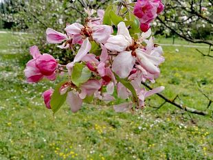 oggi-lunedi-20-marzo-2023-alle-2224-inizia-la-primavera