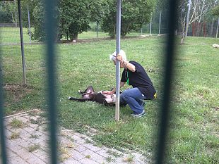 open-day-al-canile-di-empoli-conoscere-amare-adottare