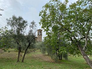 la-collina-di-montughi-meraviglia-a-riscoprire