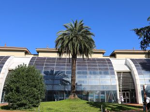 due-bambine-di-gaza-arrivate-nella-notte-al-meyer