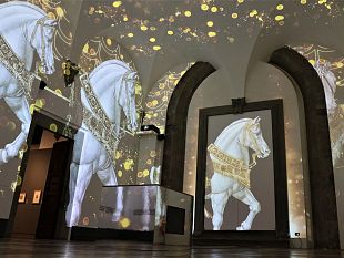 il-rinascimento-in-palazzo-medici-riccardi
