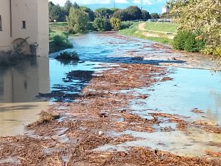pioggia-abbondante-oggi-su-firenze
