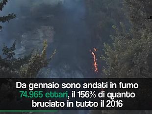 record-di-incendi-74965-ettari-gia-bruciati-nel-2017