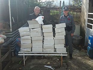 orti-cinesi-a-prato-dalla-scarsa-igiene-al-lavoro-nero-sequestri-e-sanzioni