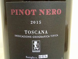 valdarno-la-vigna-dei-misteri-produce-il-pinot-nero