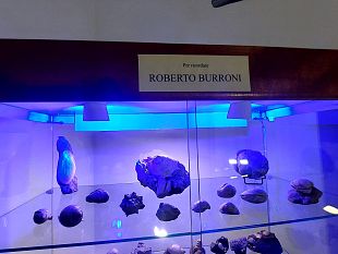 scienza-fossili-che-passione-a-scandicci-la-collezione-roberto-burroni