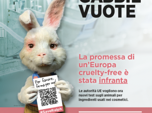 i-cosmetici-cruelty-free-sono-a-rischio