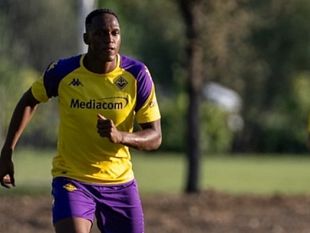 mina-stop-lesione-muscolare