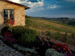 a811281438-forbes-gaiole-primo-nella-top-ten-dei-migliori-luoghi-in-cui-vivere