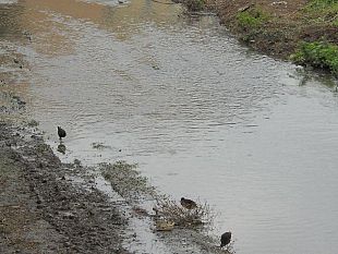 b211091545-maltempo-vento-e-temporali-da-domani-fino-a-lunedi
