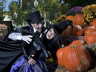 arriva-halloween-attenzione-alla-liquirizia-e-alle-lenti