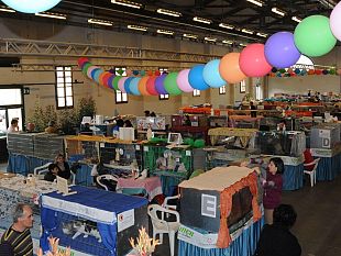 b202051905-successo-della-mostra-internazionale-felina