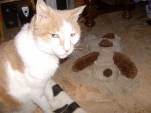 b205241430-gli-amici-di-chicco