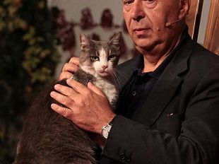 b108101514-il-gatto-selvatico-quello-vero-incontra-paolo-mieli
