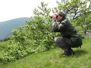 a911301704-le-riserve-naturali-scrigno-di-biodiversita