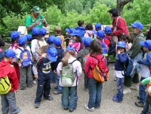 a809172301-riforma-della-scuola-gelli-la-toscana-rispondera-con-un-ricorso-br-appello-per-il-diritto-all-istruzione-di-chi-non-vede