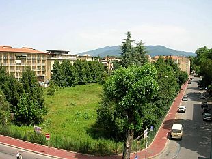verde-intensificare-il-controllo-di-piante-pericolanti-e-malate