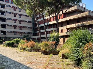 ferragosto-giani-e-funaro-in-vista-allospedale-di-torregalli