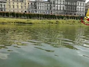 giovane-disperso-in-arno-ritrovato-il-corpo-al-vespucci