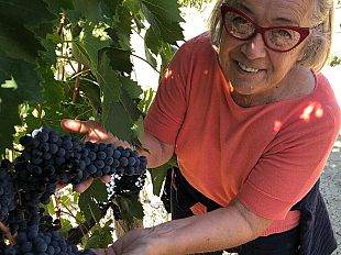 vendemmia-2021-unannata-resiliente-per-lorcia-doc