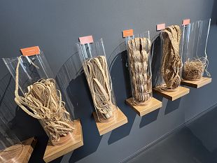 40-anni-di-attivita-del-consorzio-il-cappello-di-firenze