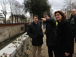 verde-a-firenze-da-lunedi-abbattimenti-e-reimpianti-di-specie-piu-resistenti