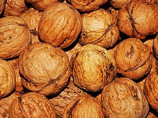vende-noci-senza-licenza-multa-e-sequestro-di-oltre-100-chilogrammi-di-frutta-secca