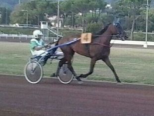 trotto-il-record-mondiale-di-noodles-bieffe