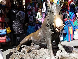 denunciato-ladro-di-monetine-al-porcellino