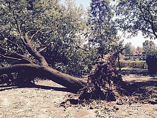maltempo-il-bilancio-dei-danni-e-la-polemica-sulle-cause